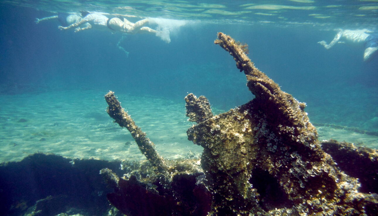 Falasarna Shipwreck Snorkel