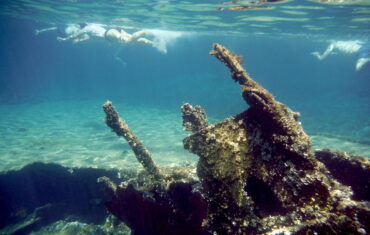 Falasarna Shipwreck Snorkel