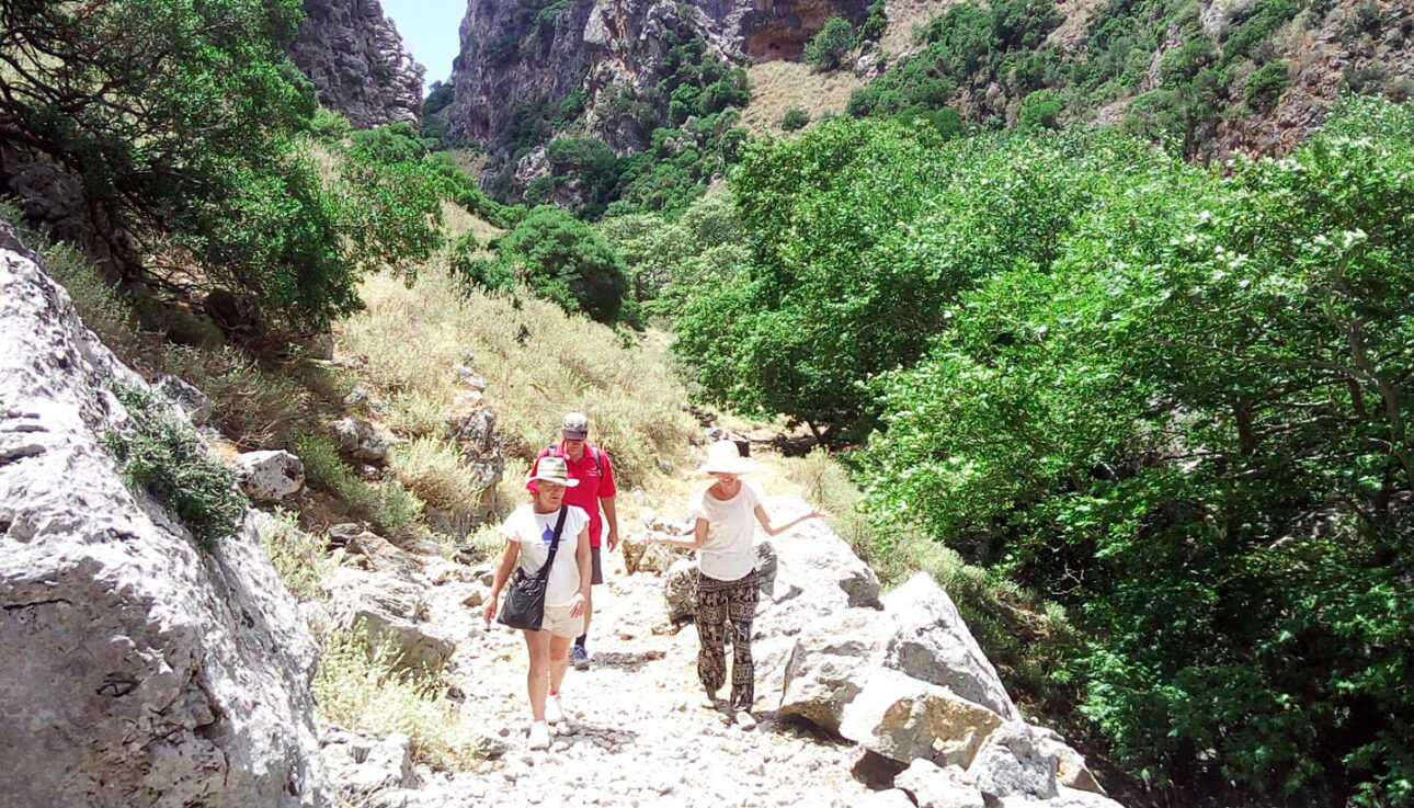 Walk Sirikari Gorge