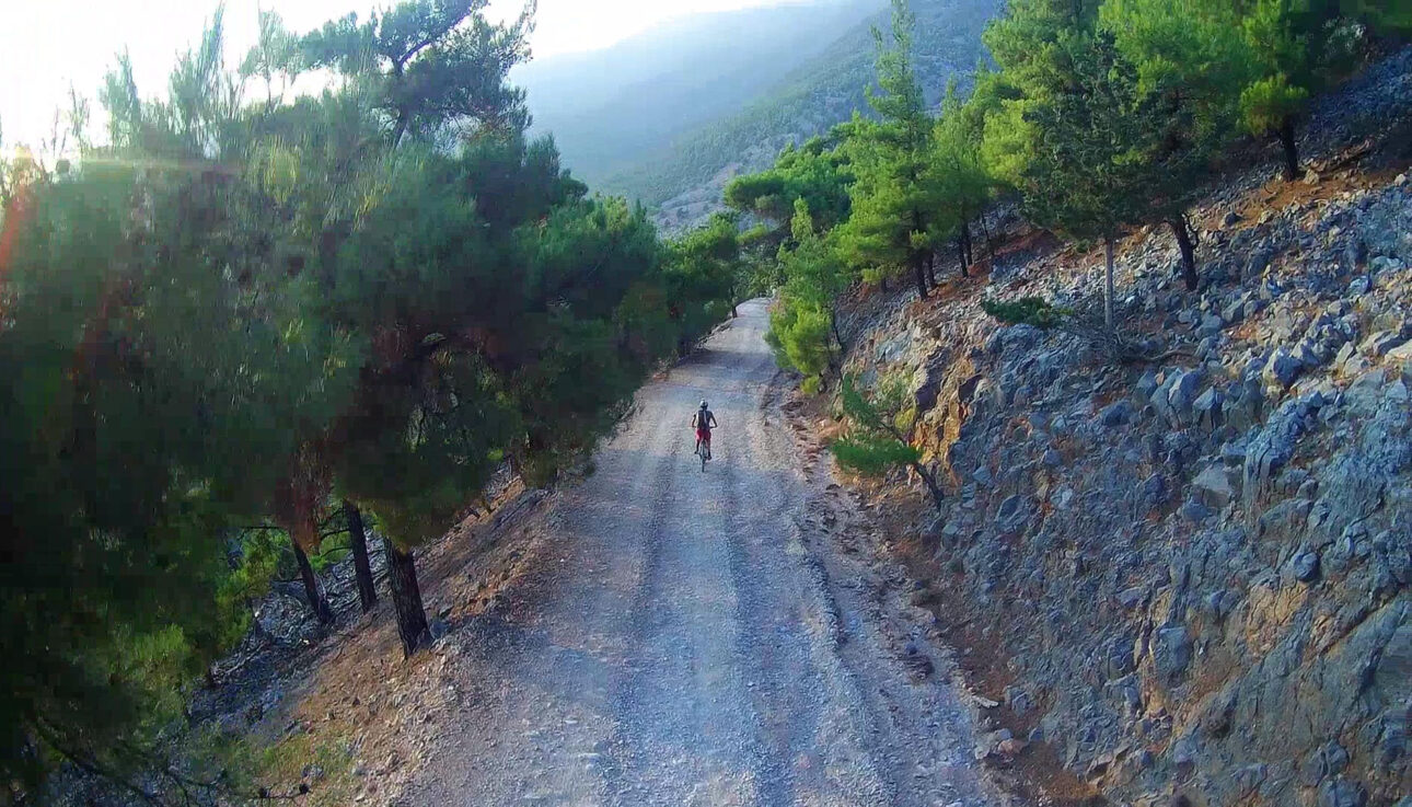 Pachnes Forest