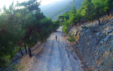 Pachnes Forest