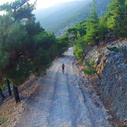 Pachnes Forest