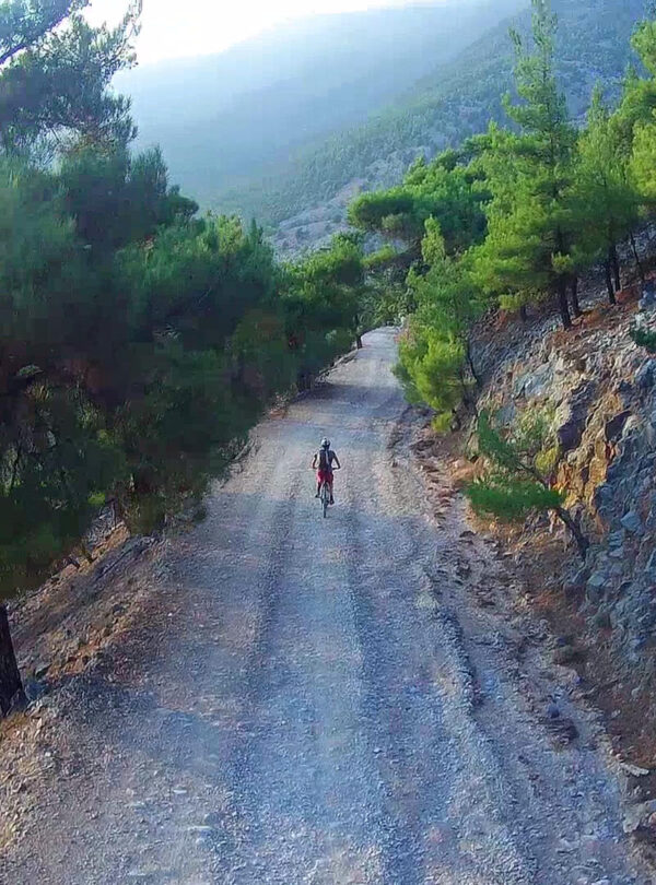 Pachnes Forest
