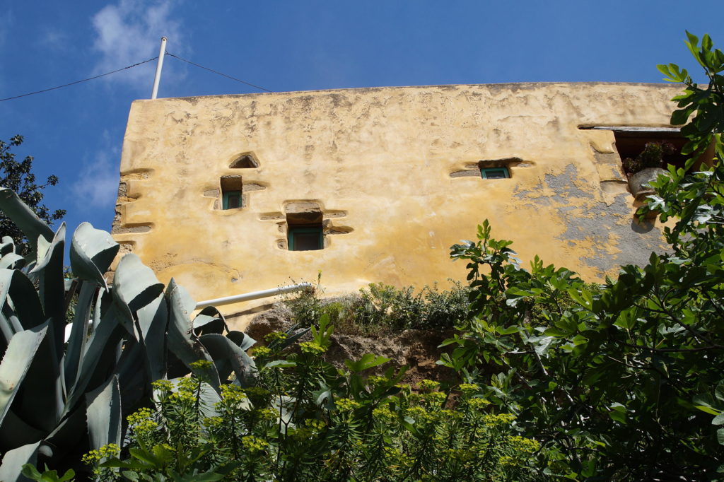 Orange House