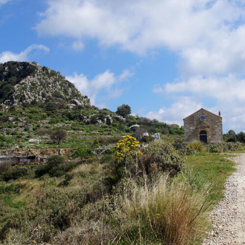 Polyrrinia hilltop
