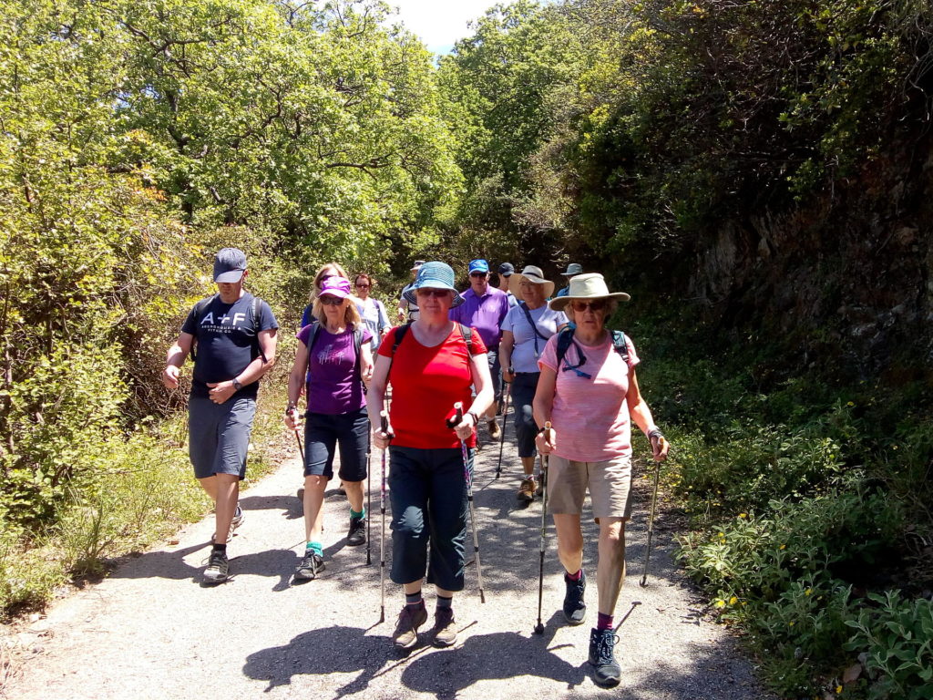 Nordic Walking Crete