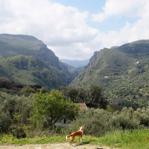 Walk Churches and Valleys