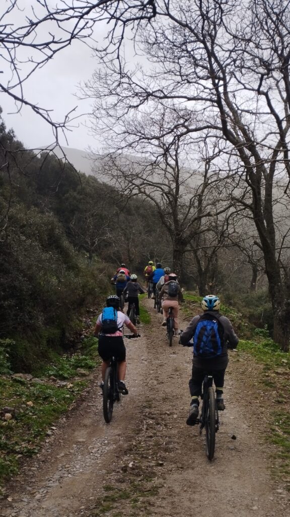 Cycling into the forest, Sirikari