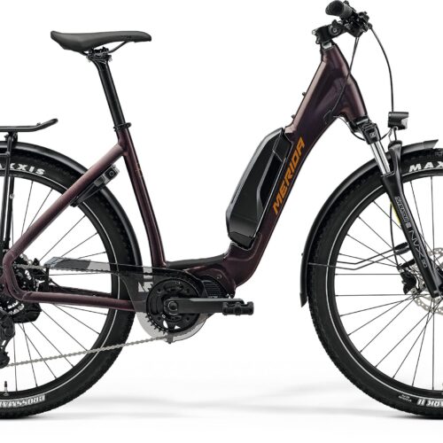 E-Bike Day Rental – Easy Entry Short Range